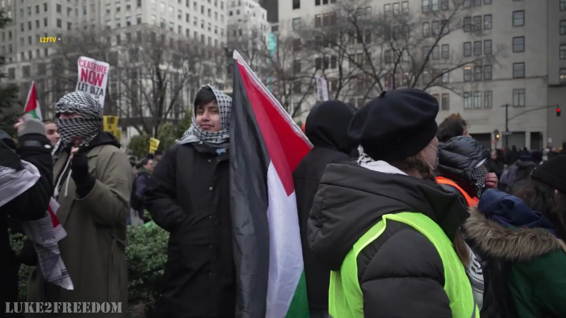 David zingher__youtube